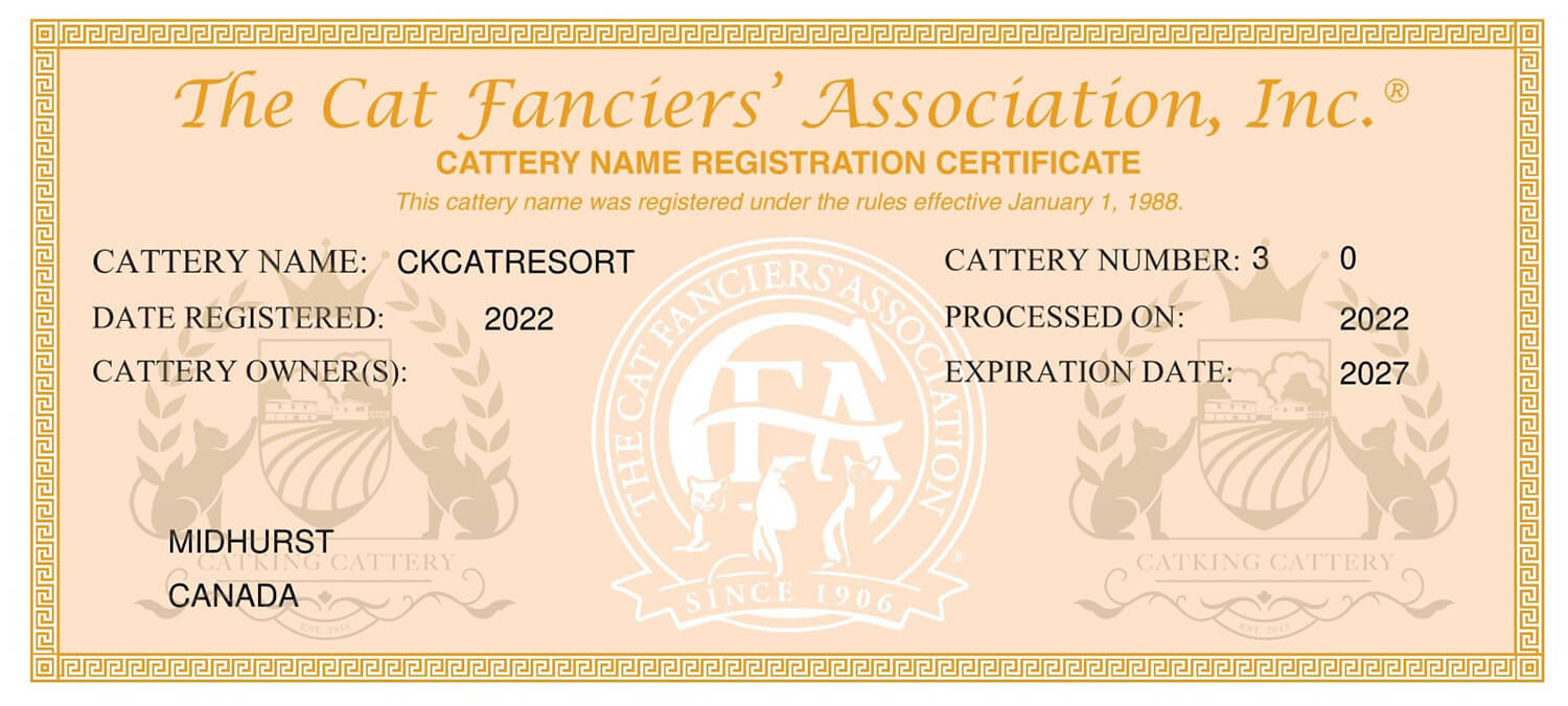 CatKing CFA Certificate