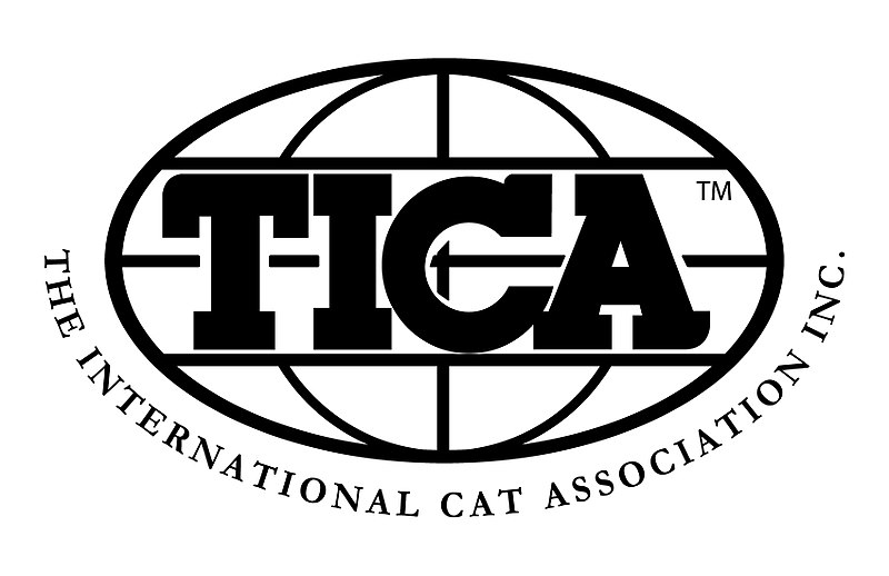 CatKing TICA Award